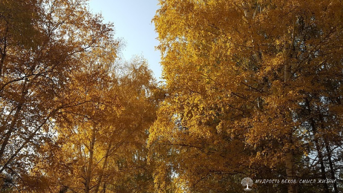 Фото из личных архивов Светланы Аюповой