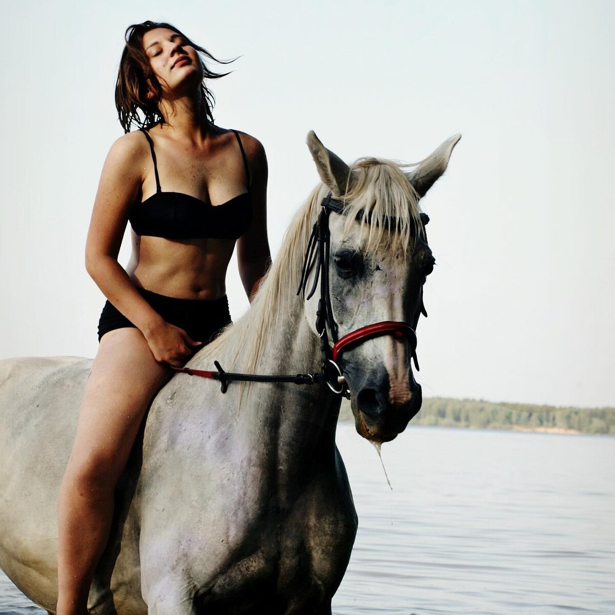 Медленные лошади сериал. Медленные лошади сериал 2022. Бумажный дом 2 сезон 6 серия. Кони привередливые картина. Огненный конь фото.