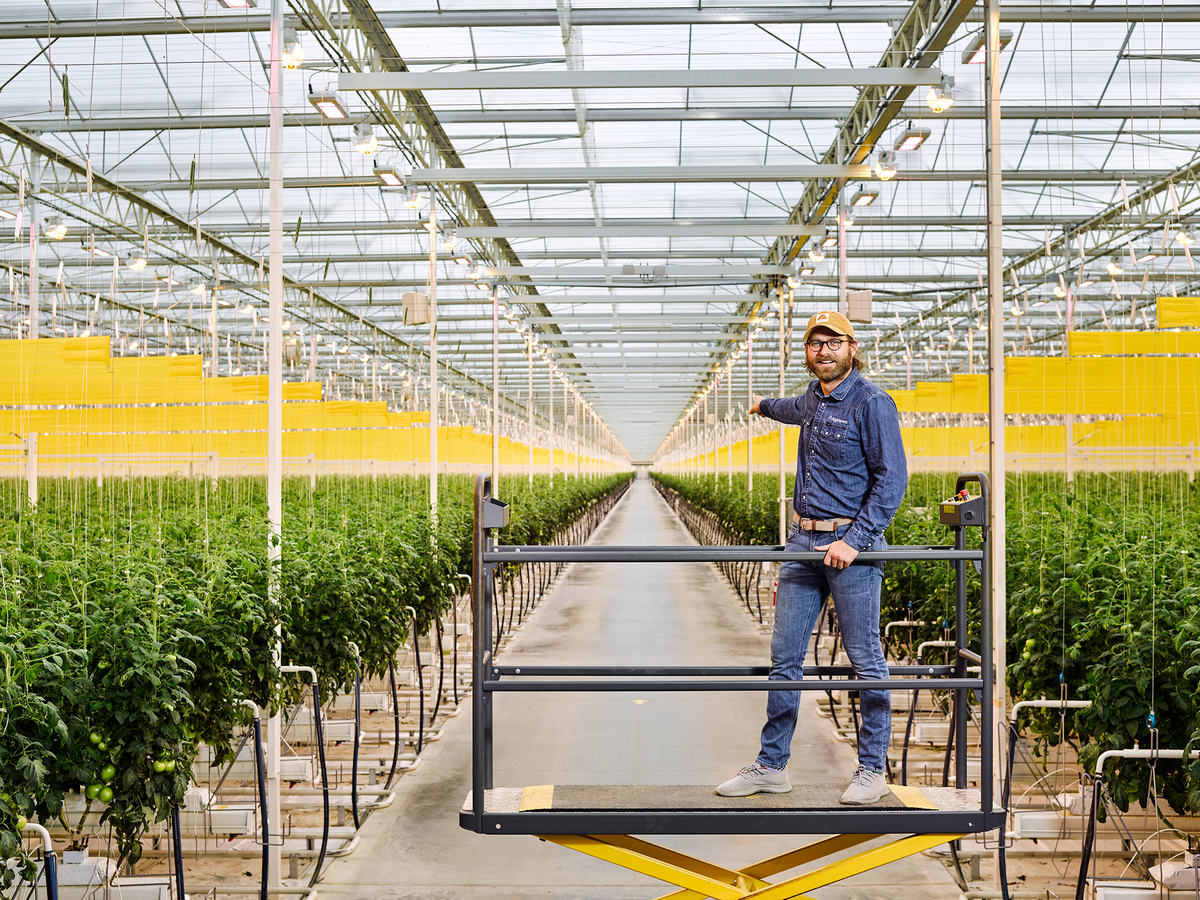 CREDIT: AARON CONWAY