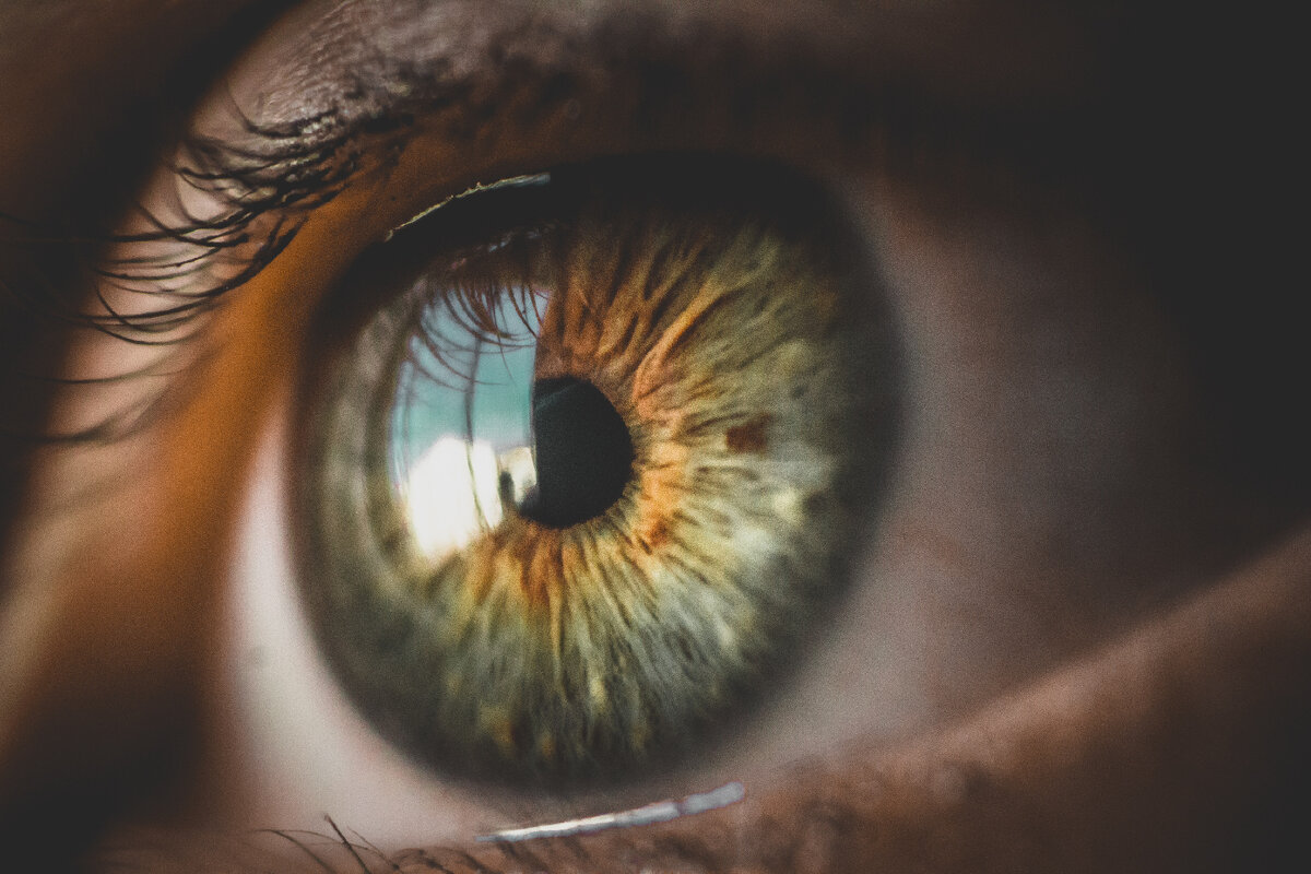 Фото автора Bruno Henrique: Pexels