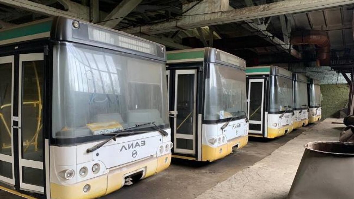 «Трупный ряд» в Заречном (фото из открытых источников).