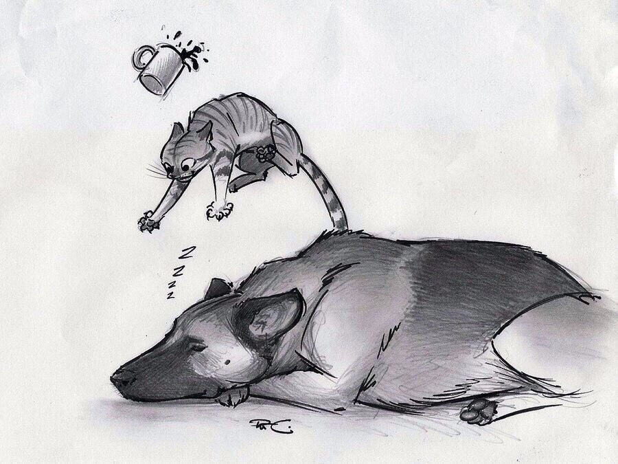 Яндекс Картинки.