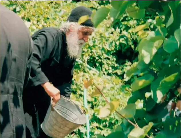 Читайте и слушайте книги преподобного Паисия Святогорца (1924-1994). Ссылки внизу