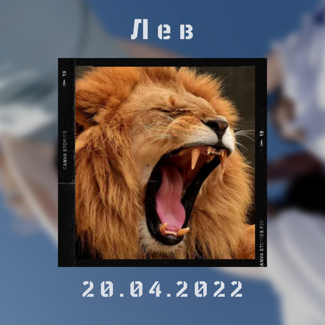 Лев - 20.04.2022