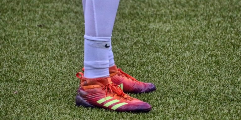 Фото: https://pixabay.com / planet_fox