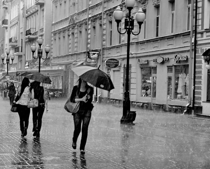 Добавьте описание