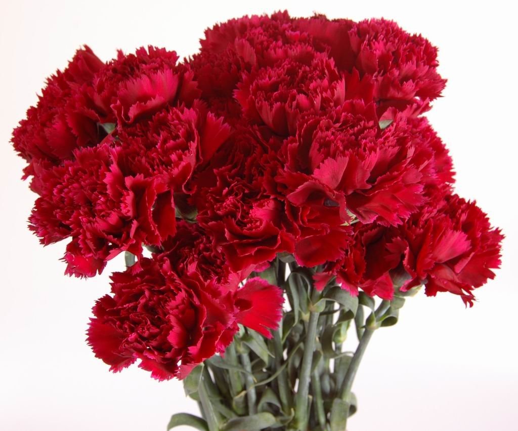 Наш адрес ул. Комсомольская д.10 