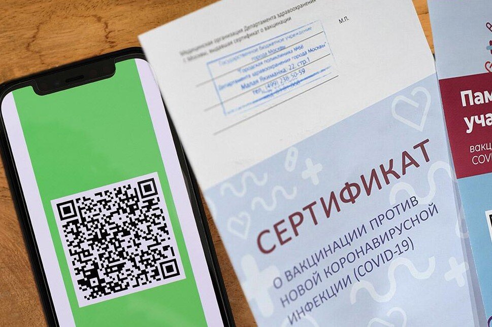 molva33.ru
