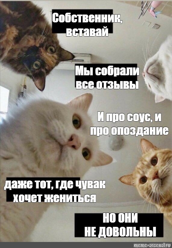 Прошу в комментариях объяснить, почему мои собратья не правы! Они ведь собрали самые яркие моменты! 🎉