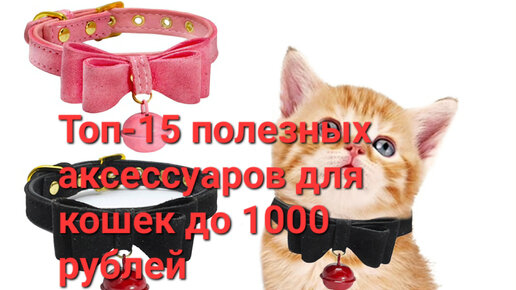 Преимущества использования когтеточек и когтеточек с домиком: