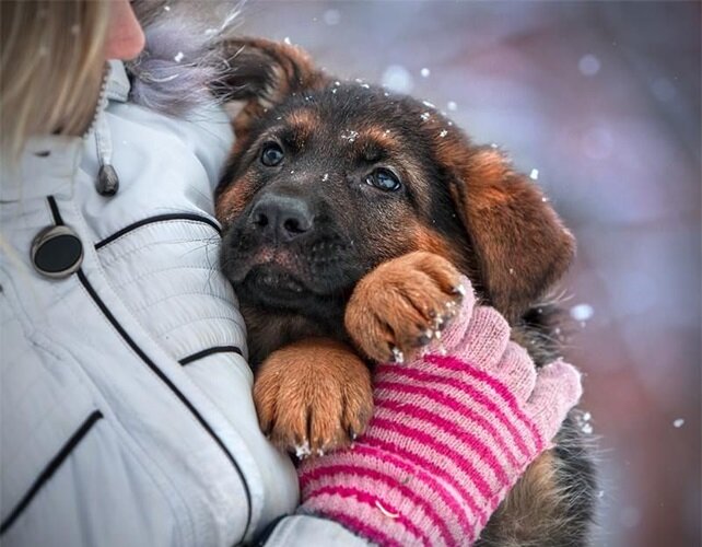 Фотография скопирована в сети