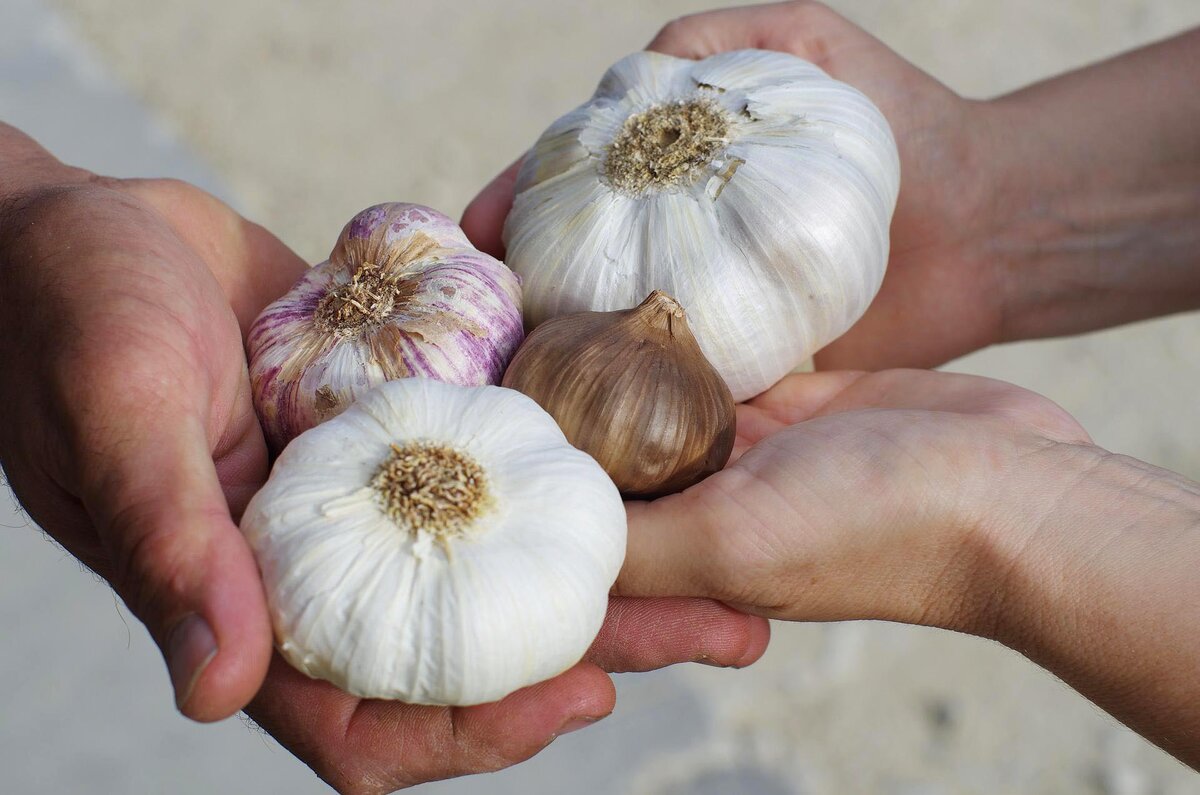 Фото: pixabay.com