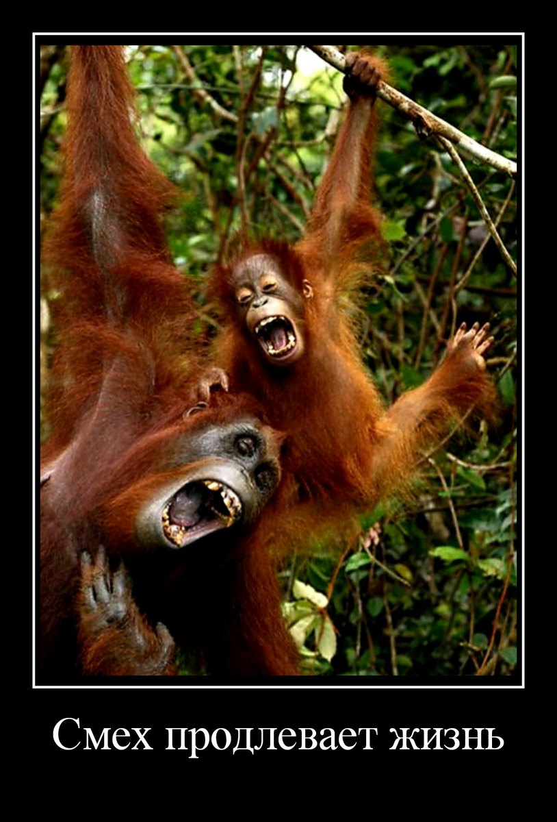 Надеюсь, что Ваше настроение приблизится к данной отметке