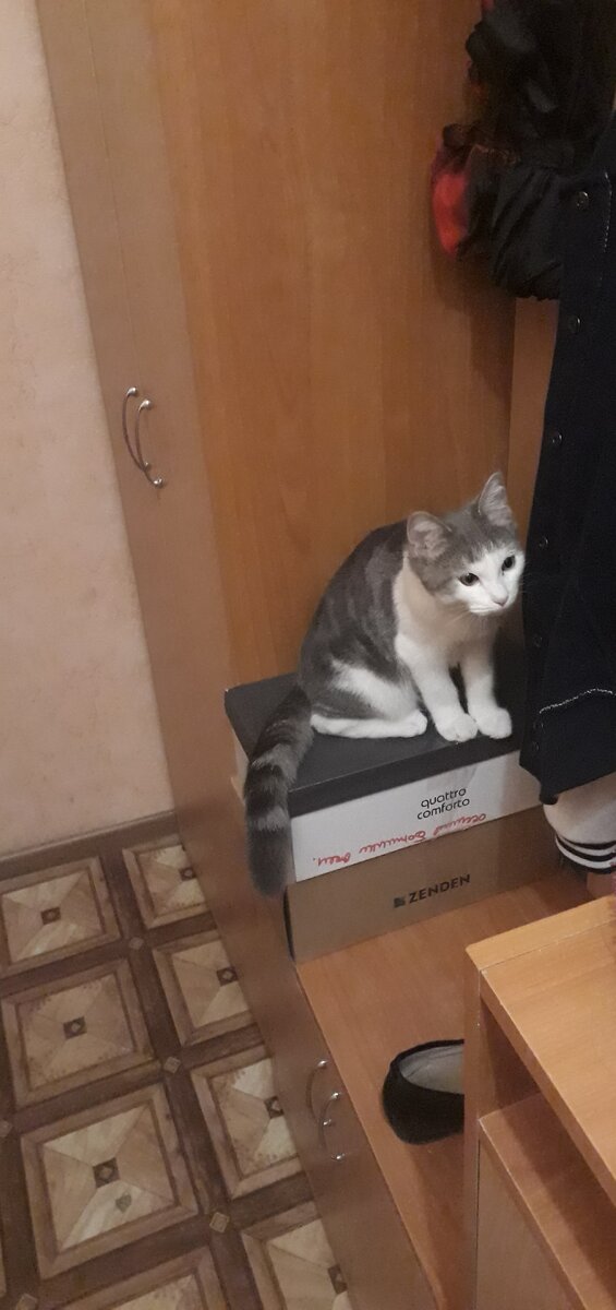 Вернулся от врача