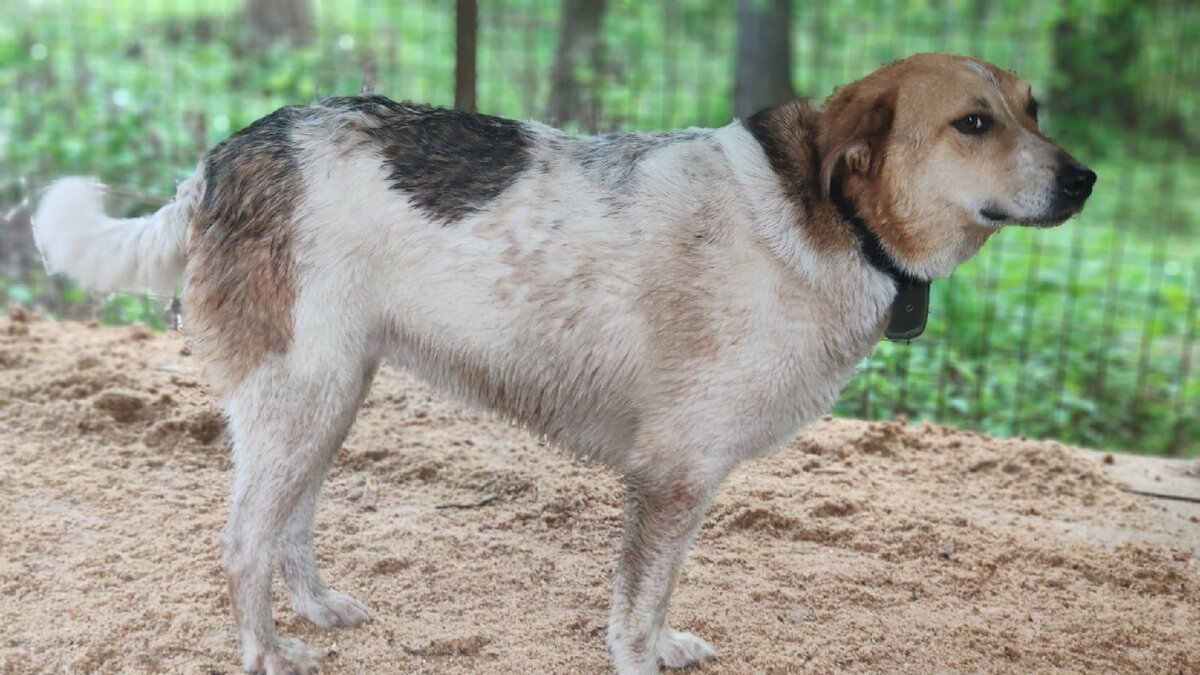 - Я - хороша, во какая фигурочка!