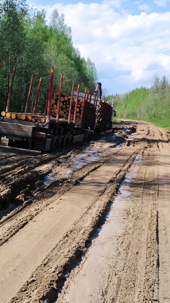 Эти лесовозы нашу дорогу уничтожали несколько лет подряд