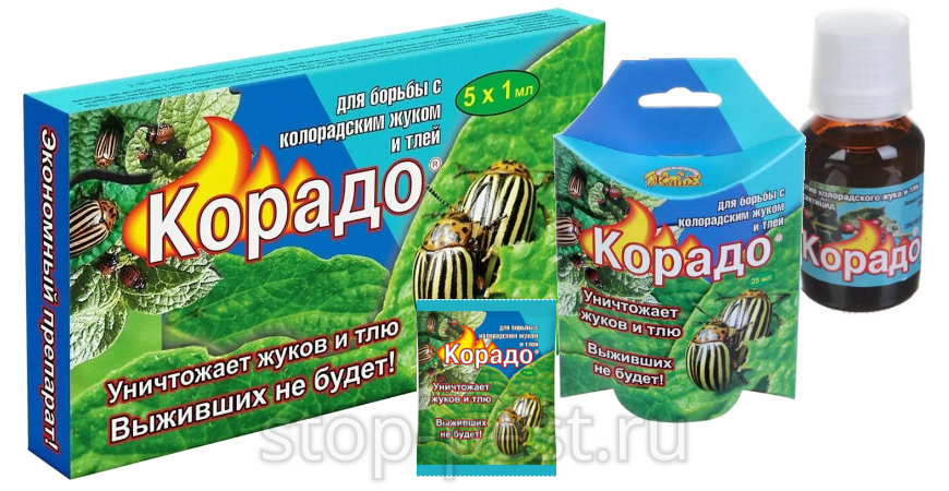 Корадо от луковой мухи отзывы. Корадо инсектицид. Корадо 25 мл. Корадо 10 мл.