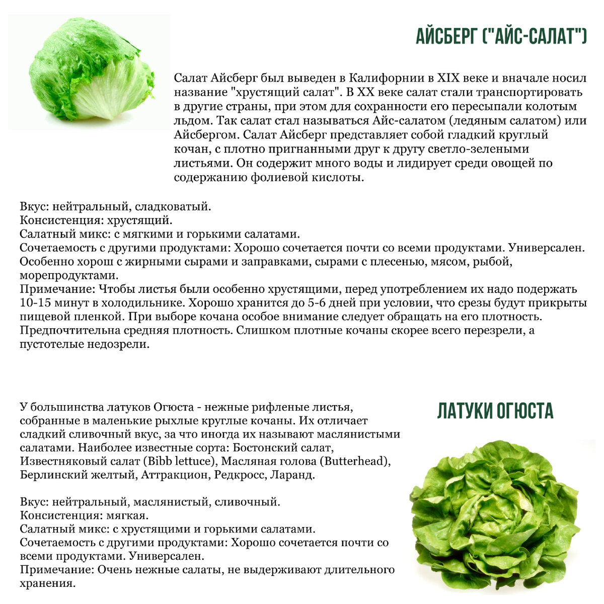 историческая справка салата винегрет. презентация салата. интересные факты о салате. рецепт салата из овощей для детей. факты о салате цезарь.