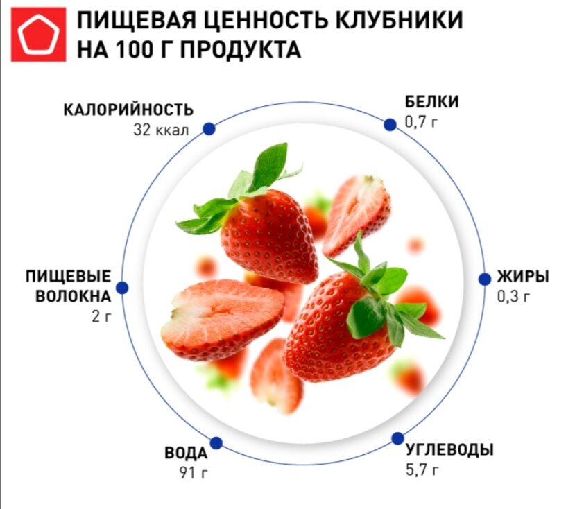 Свойства клубники для организма человека