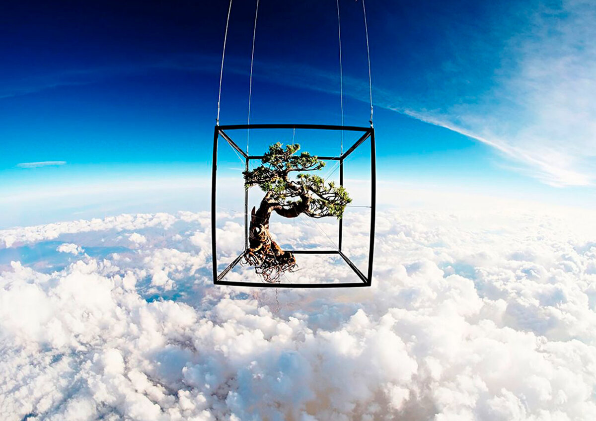 Фоторабота Язумо Накото