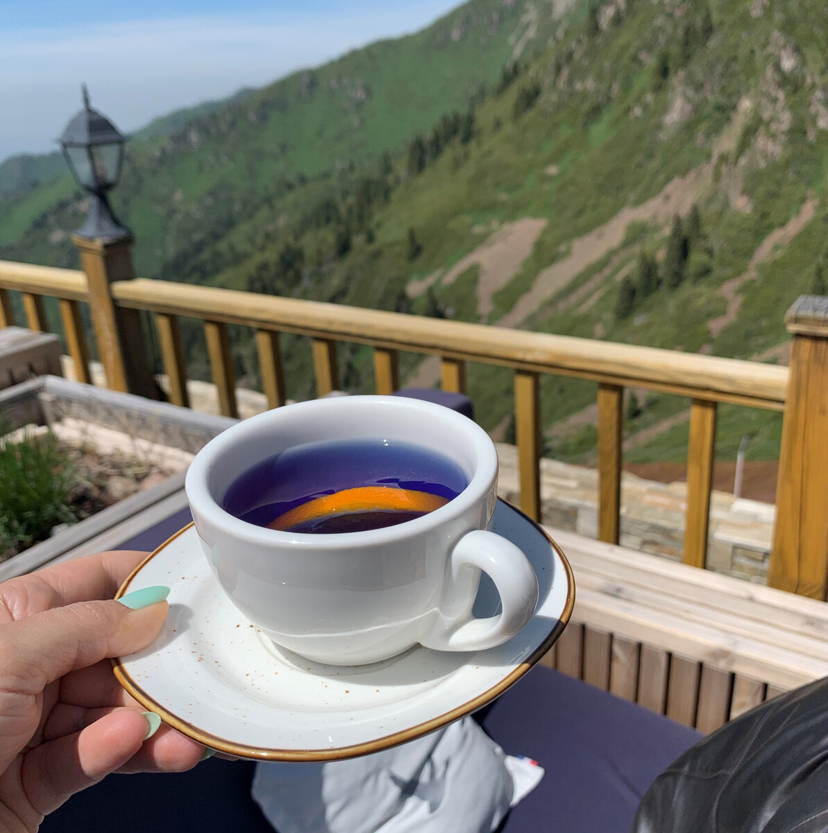 Чай, который меняет цвет с фиолетового на синий, когда в него добавляешь лимон. Попробовала такой на высокогорном курорте близ Алматы. Фото автора