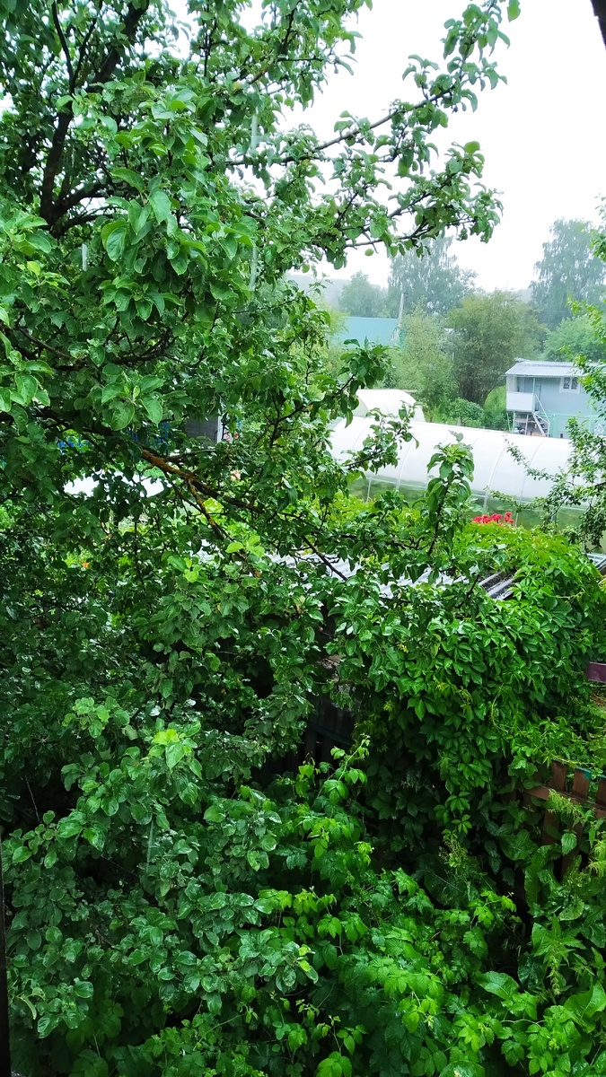 Ух ты! Дождь такой проливной - проливной. Хотя фото этого не передаëт