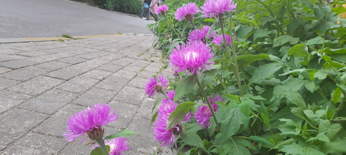 Фото,естественно, мое,как и все на этом канале.