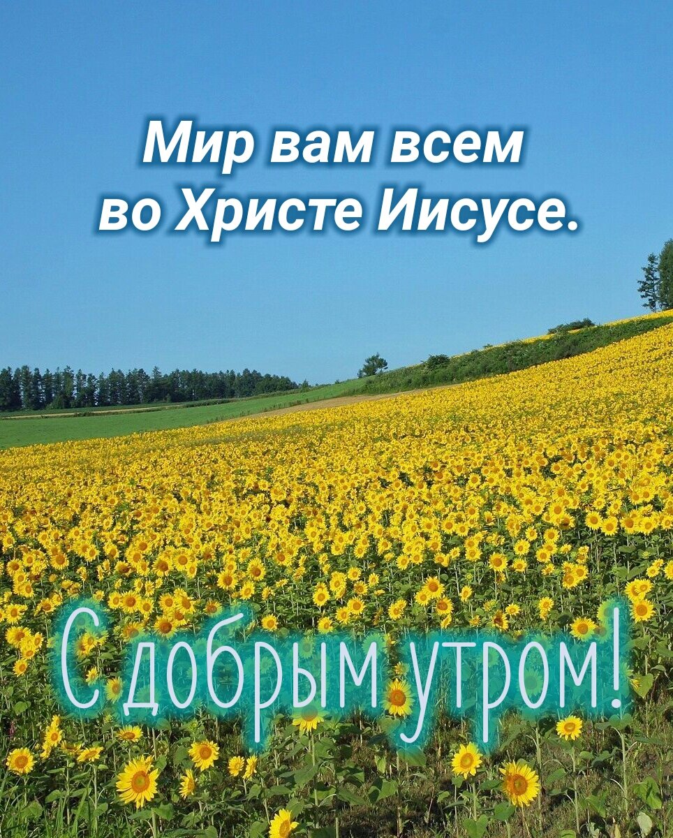 Доброе утро христианские картинки