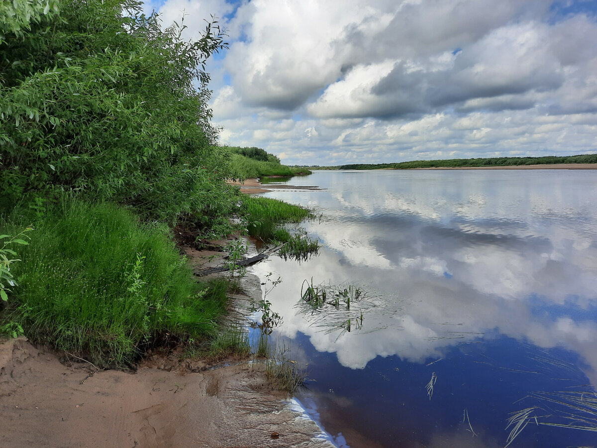 Берег Северной Двины Копачево