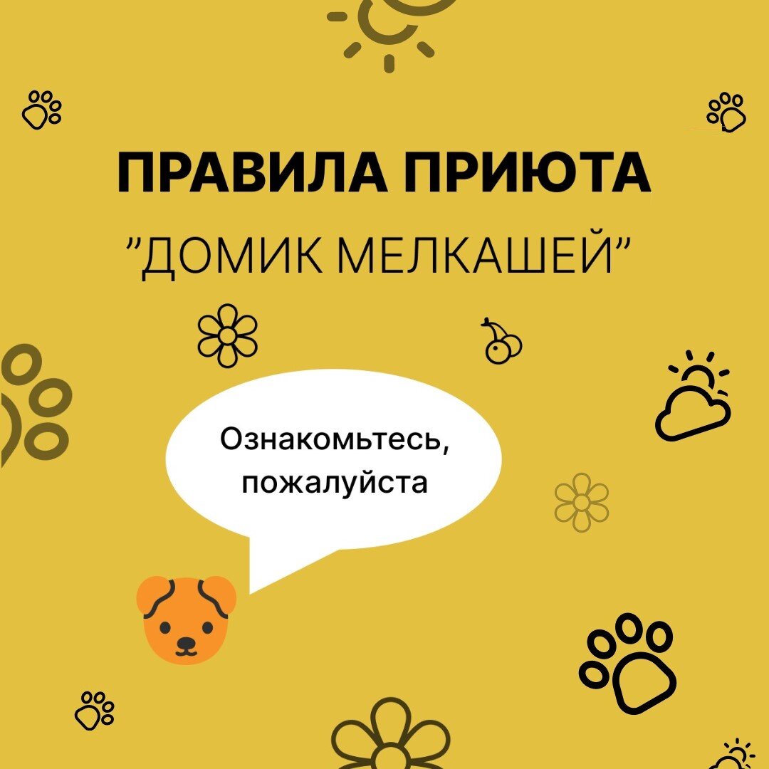 Правила приюта