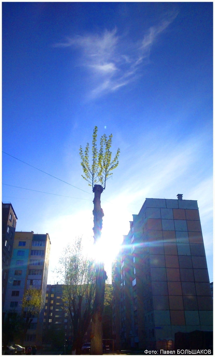 Фотография Павла Большакова