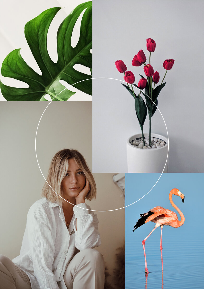 исходные изображения, взятые с сайта unsplash.com