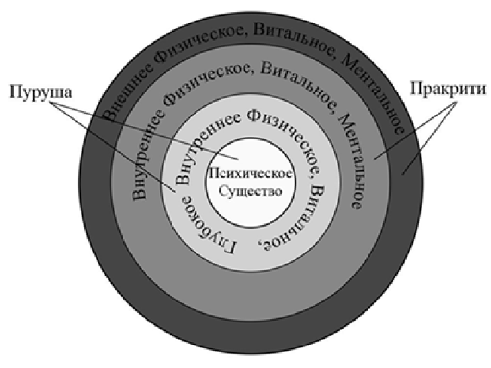 Рис. 1. Система «Концентрических колец» сознания человека [2, с.6]).