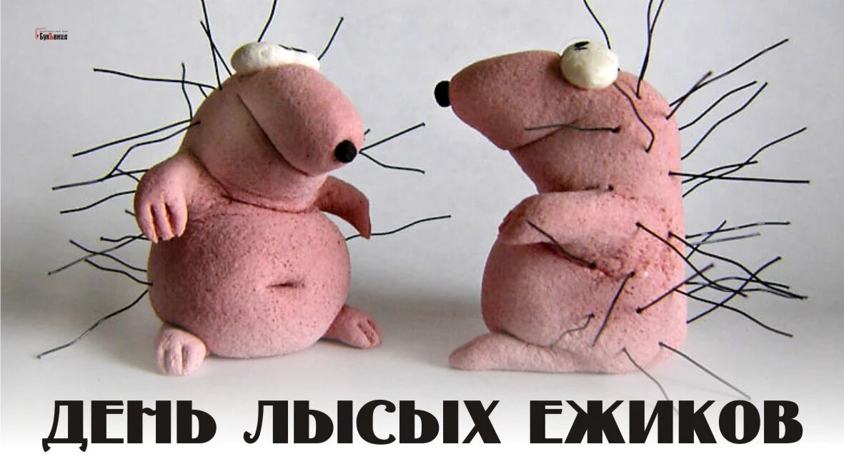 День лысых ежиков. Иллюстрация: «Курьер.Среда»