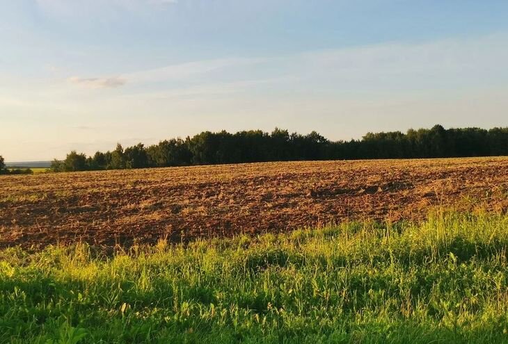    25 тысяч га залежей возвращает Нижегородская область под зерновые и зернобобовые культуры