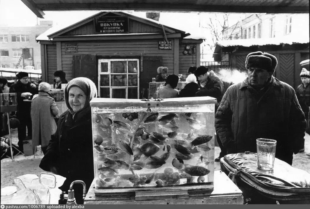 Птичий рынок: Гуппи, меченосцы, сомики, неоны, барбусы и мотыль - о ...