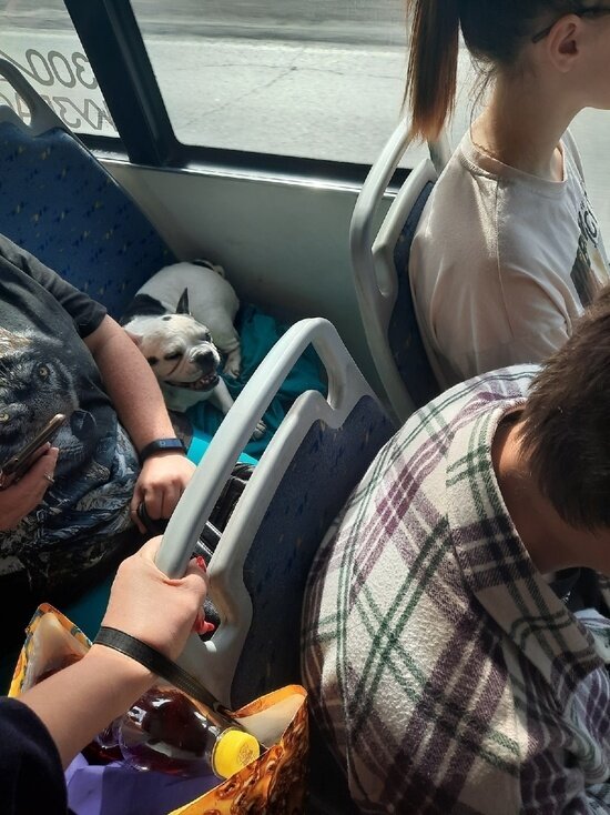     Фото: ВКонтакте / Подслушано | Новоильинский район | Новокузнецк