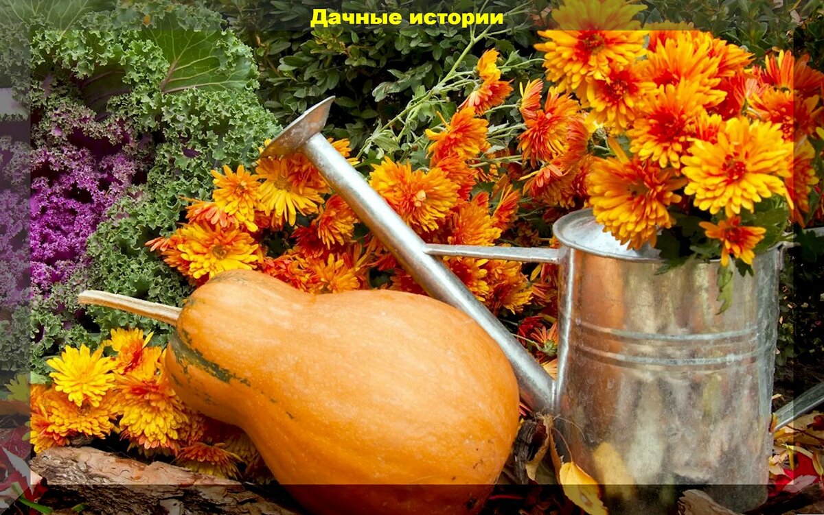 https://vk.com/photo-159774511_457255704