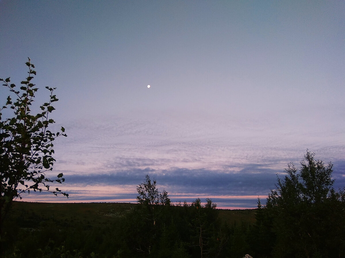 На юго-запад