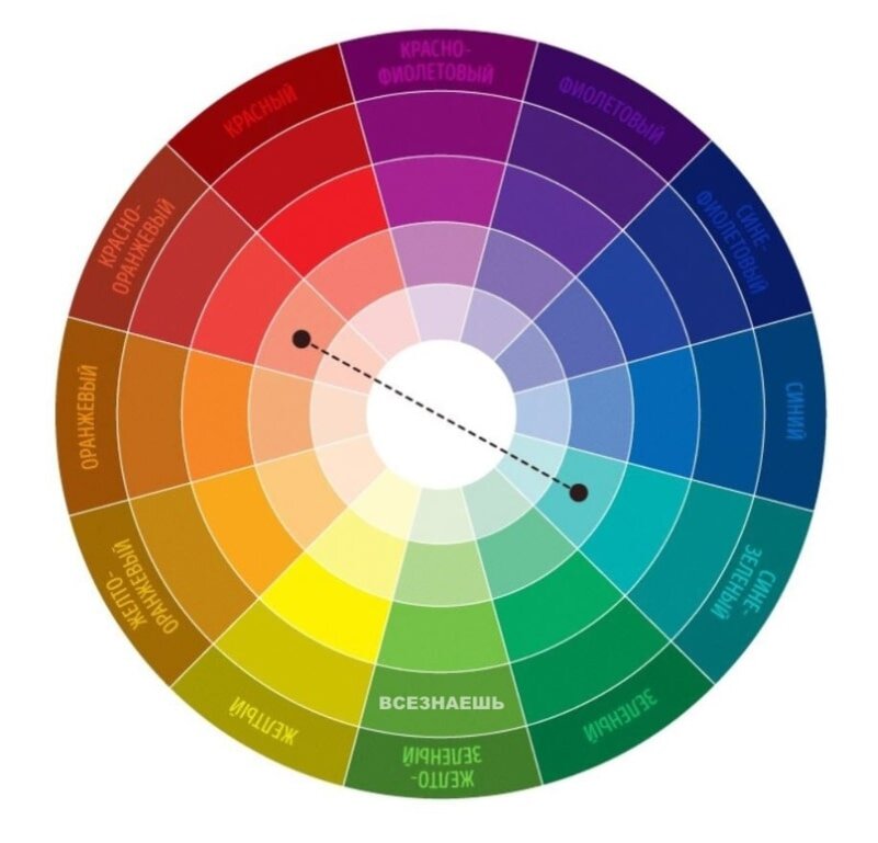 Цветовой круг для одежды сочетание цветов