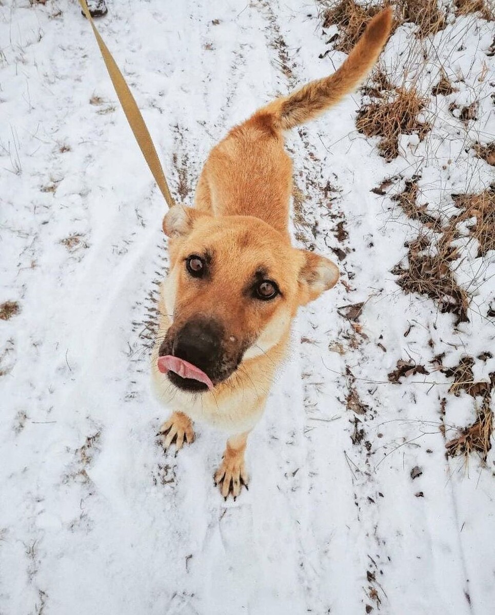    instagram.com/huskyekb admin