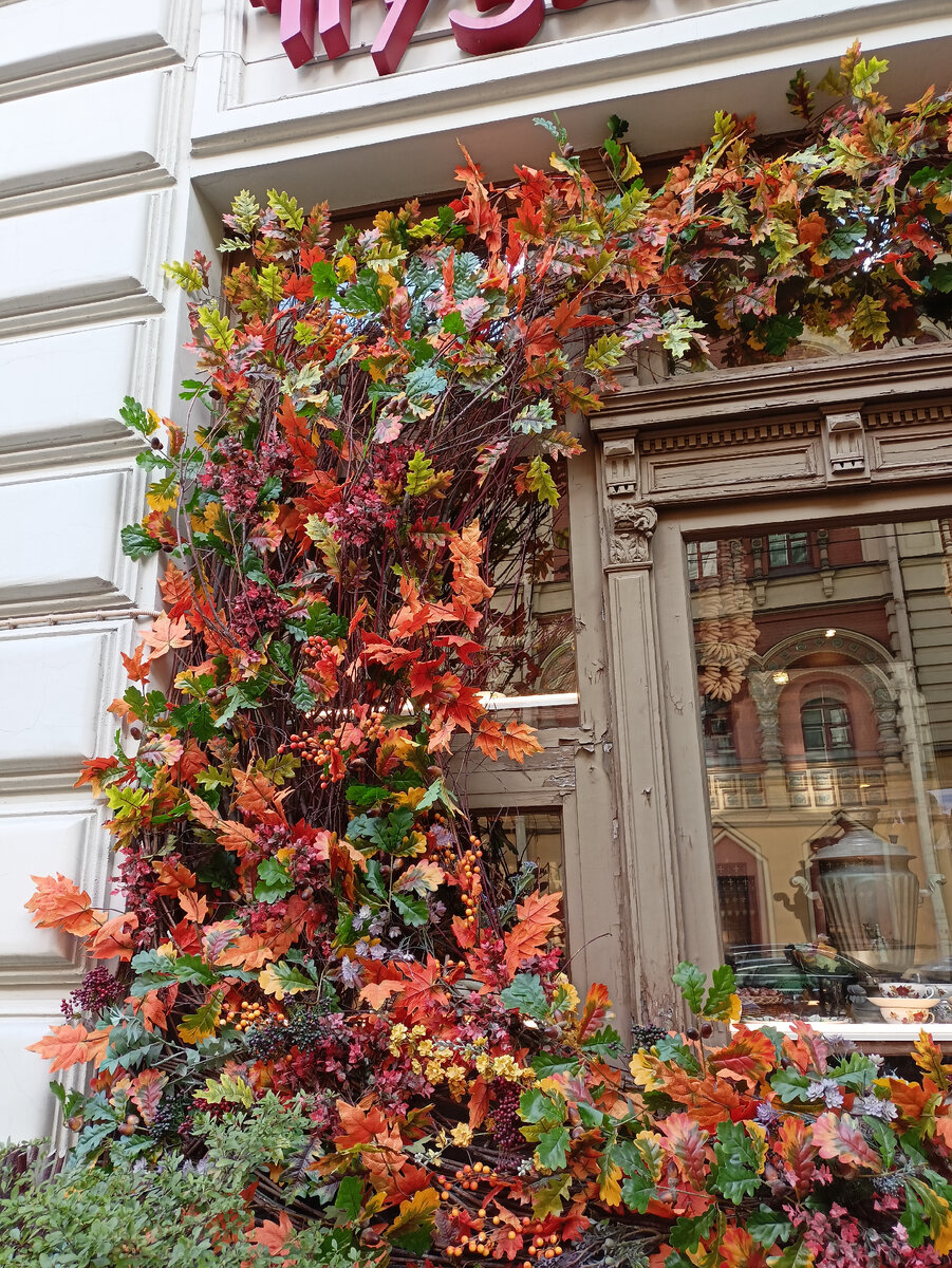 Осенние листья располагают к обучению 