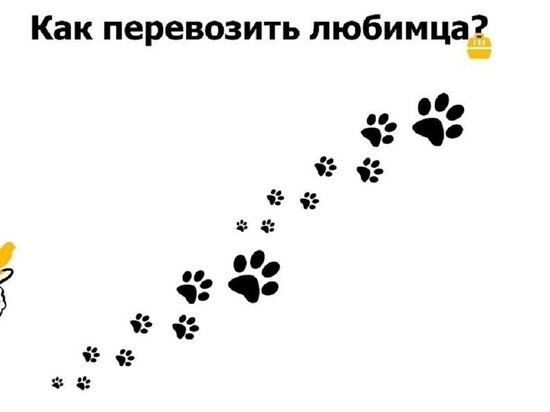     Фото с портала Мострансавто