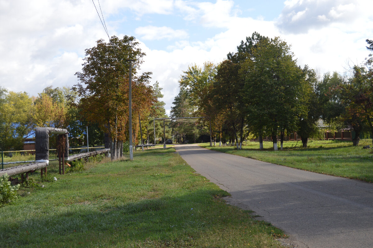 Фото автора. Дорога от гаража, к правлению колхоза.