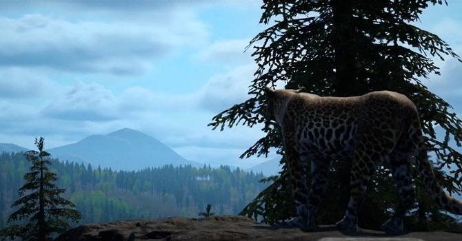 Иллюстрация: ТГ-канал «Земля леопарда» - дирекция заповедников