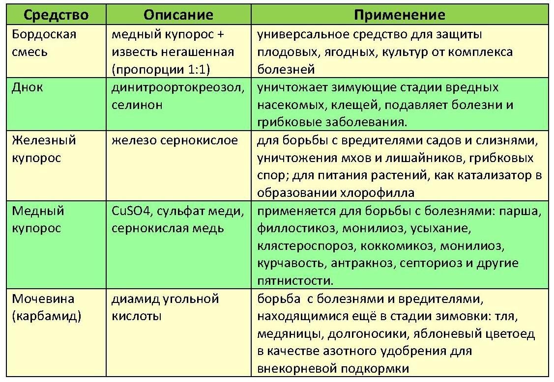 Чем обработать хвойные от болезней. Средство от вредителей для плодовых деревьев и кустарников. Препараты для опрыскивания деревьев от болезней и вредителей. Средство для обработки плодовых деревьев осенью от вредителей. Средство для опрыскивания плодовых деревьев весной от болезней.