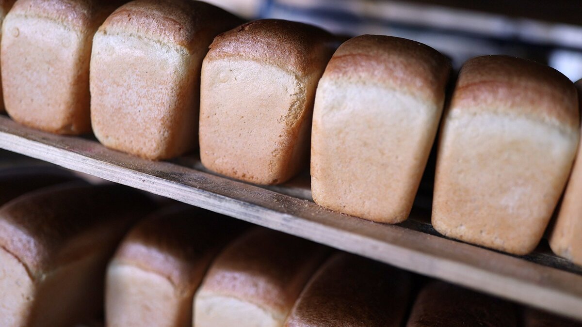    Производство хлеба© РИА Новости . Виталий Тимкив