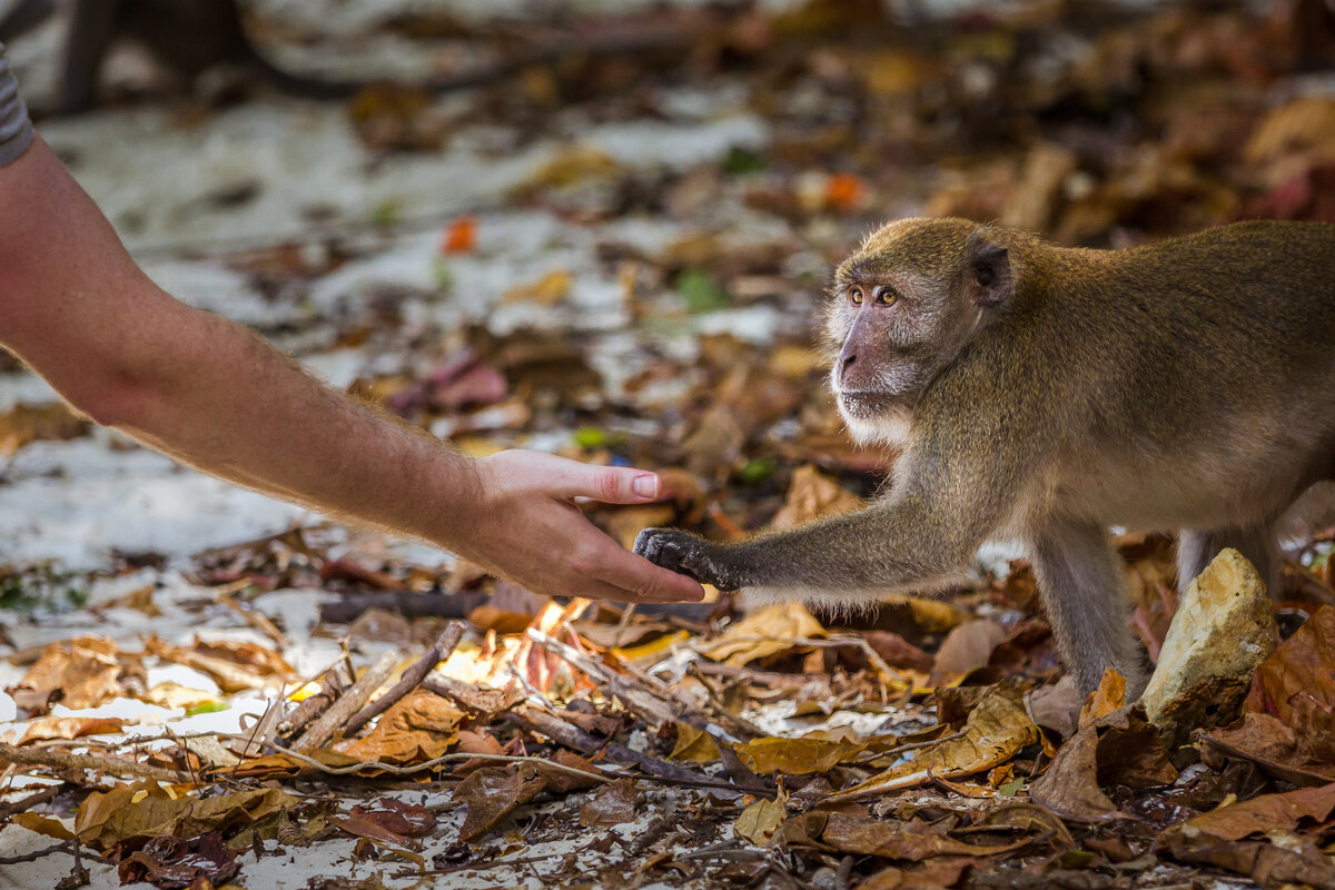 Фото: shutterstock