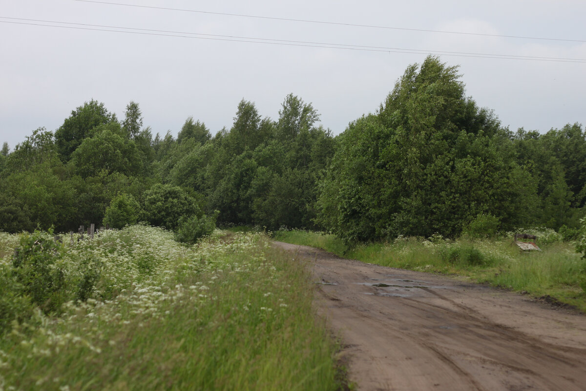 Пусторадицы 2011г.