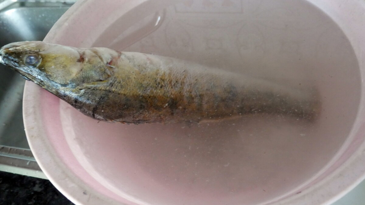 Очередной бесценный лайхак )